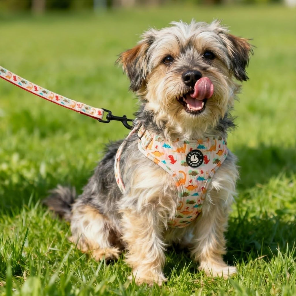 COOWONE No Pull Dog Harness and Leash Set – Ultra Lightweight Adjustable Vest for Small Medium Dogs with Floral Print