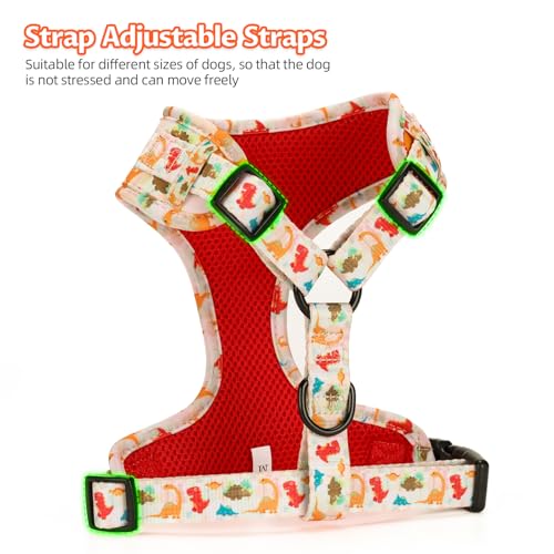 COOWONE No Pull Dog Harness and Leash Set – Ultra Lightweight Adjustable Vest for Small Medium Dogs with Floral Print