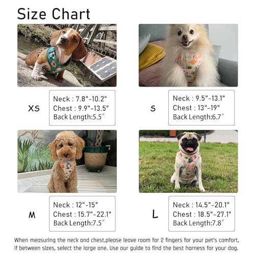 COOWONE Small Dog Harness and Leash Set – No Pull, Adjustable, Floral Pattern, Size S
