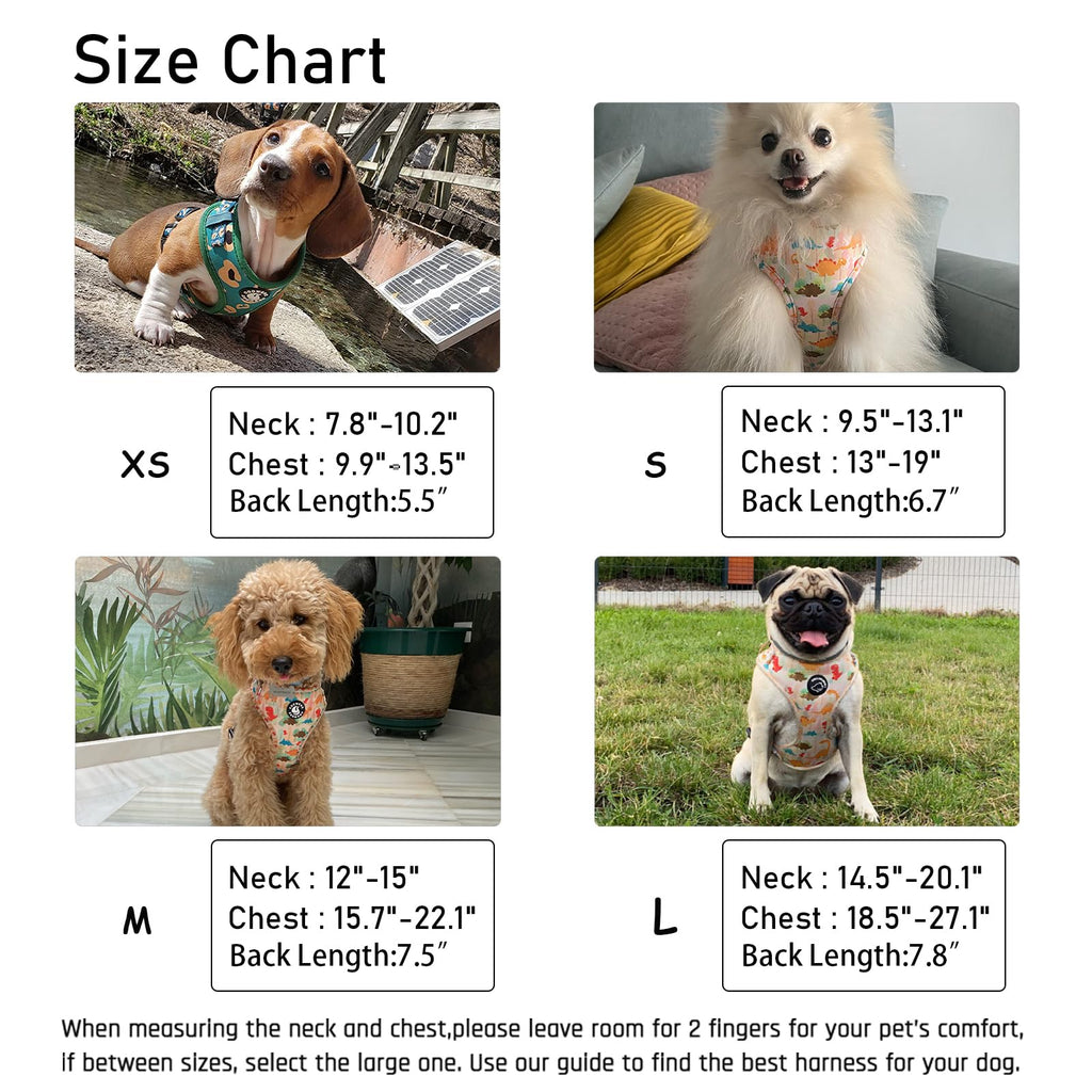 COOWONE Small Dog Harness and Leash Set – No Pull, Adjustable, Floral Pattern, Size S