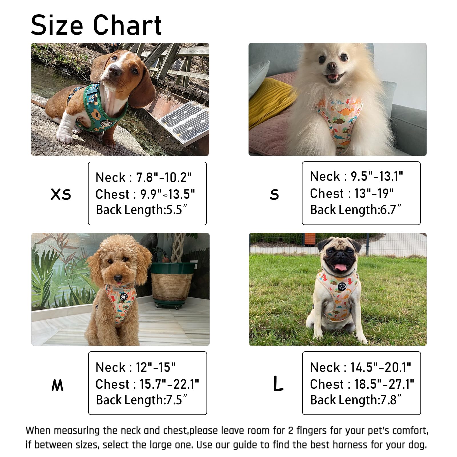 COOWONE Small Dog Harness and Leash Set – No Pull, Adjustable, Floral Pattern, Size S