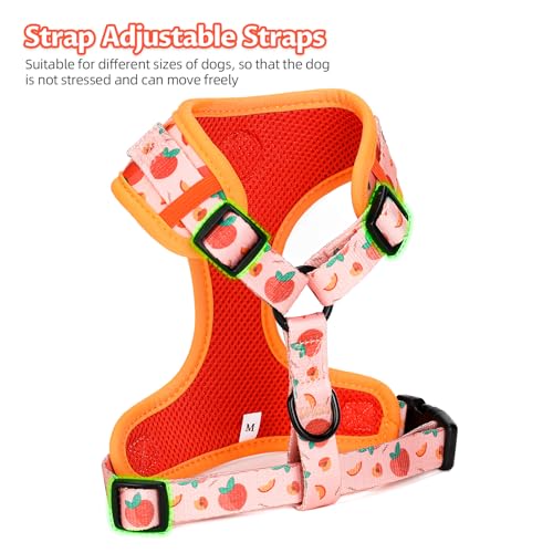 COOWONE Small Dog Harness and Leash Set – No Pull, Adjustable, Floral Pattern, Size S