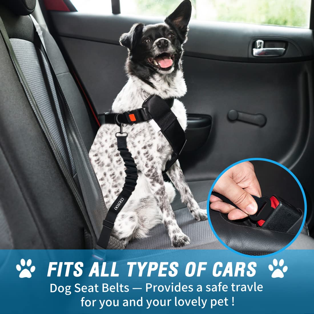 COOYOO Dog Seat Belt 3-Piece Set: Adjustable Retractable Car Harness with Elastic Bungee Buffer for Dogs, Heavy-Duty Nylon & Metal, Fits Most Vehicles (Pink+Blue)