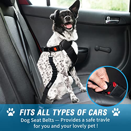 COOYOO Dog Seat Belt 3-Piece Set: Adjustable Retractable Car Harness with Elastic Bungee Buffer for Dogs, Heavy-Duty Nylon & Metal, Fits Most Vehicles (Pink+Blue)