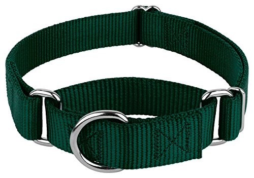Country Brook Design Martingale Dog Collar – Green, Large – No Buckle, Heavy-Duty Nylon