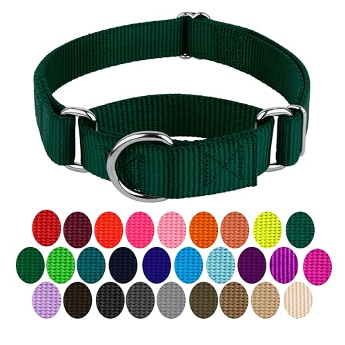 Country Brook Design Martingale Dog Collar – Green, Large – No Buckle, Heavy-Duty Nylon
