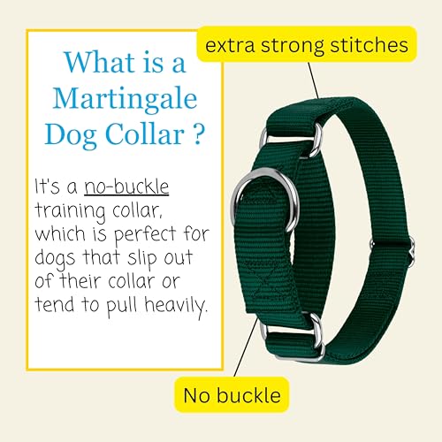 Country Brook Design Martingale Dog Collar – Green, Large – No Buckle, Heavy-Duty Nylon
