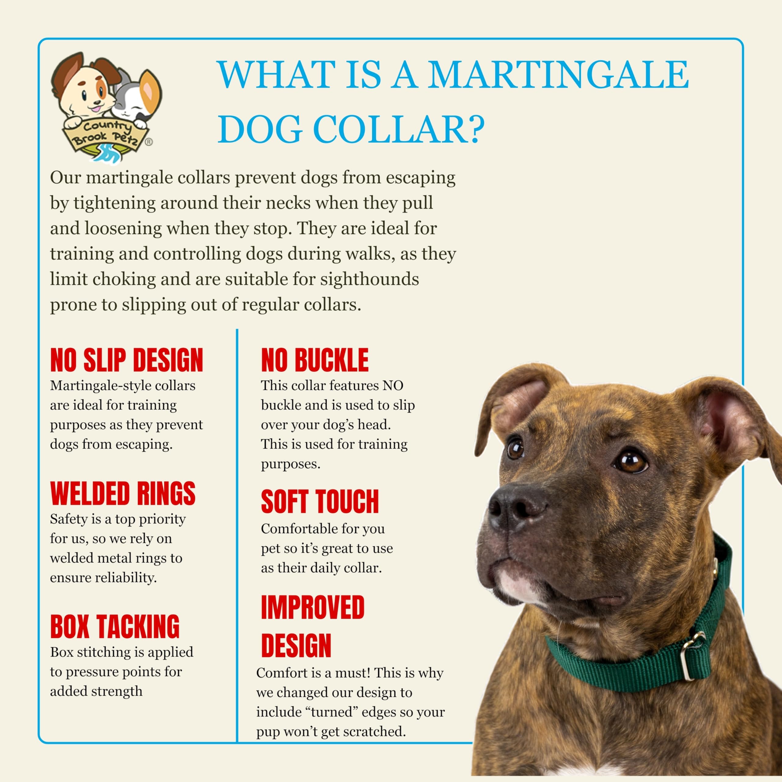Country Brook Design Martingale Dog Collar – Green, Large – No Buckle, Heavy-Duty Nylon