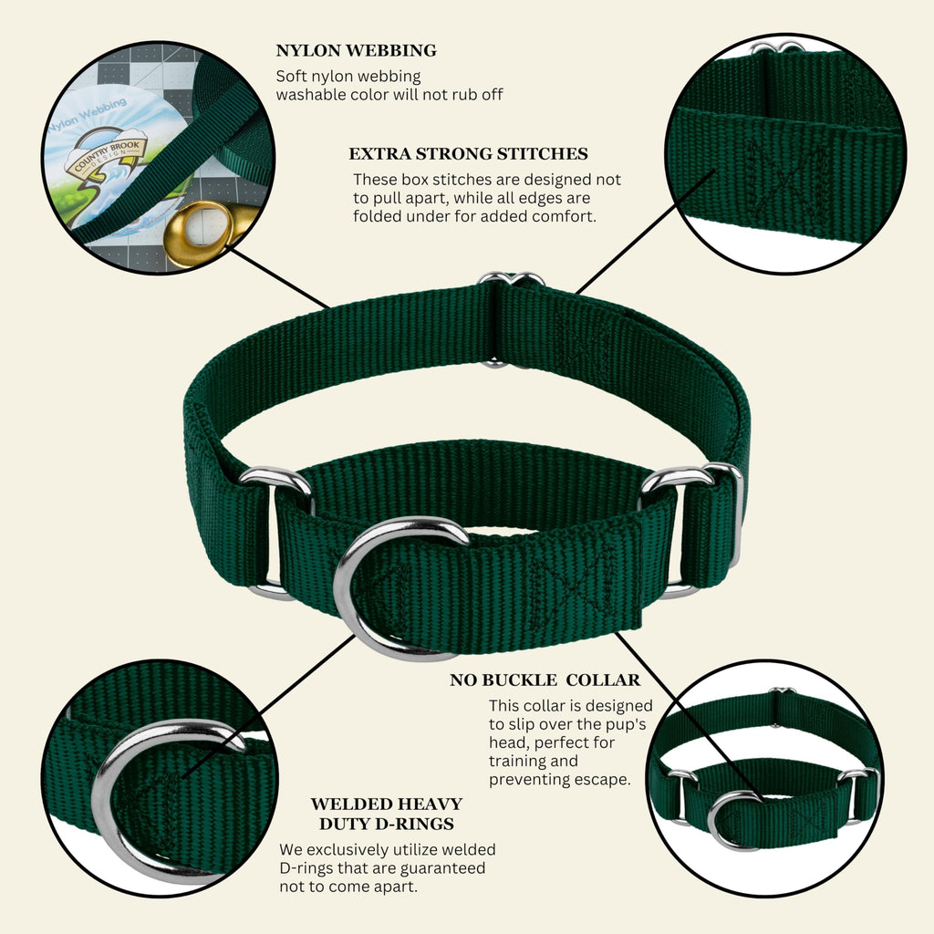 Country Brook Design Martingale Dog Collar – Green, Large – No Buckle, Heavy-Duty Nylon