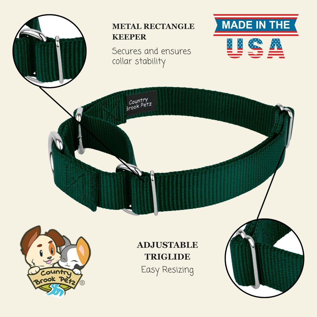 Country Brook Design Martingale Dog Collar – Green, Large – No Buckle, Heavy-Duty Nylon