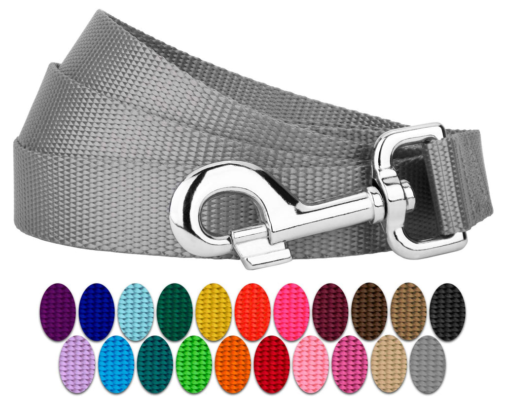 Country Brook Petz Everyday Nylon Dog Leash - 6 Foot, 1 Inch Wide, Silver - Strong & Durable