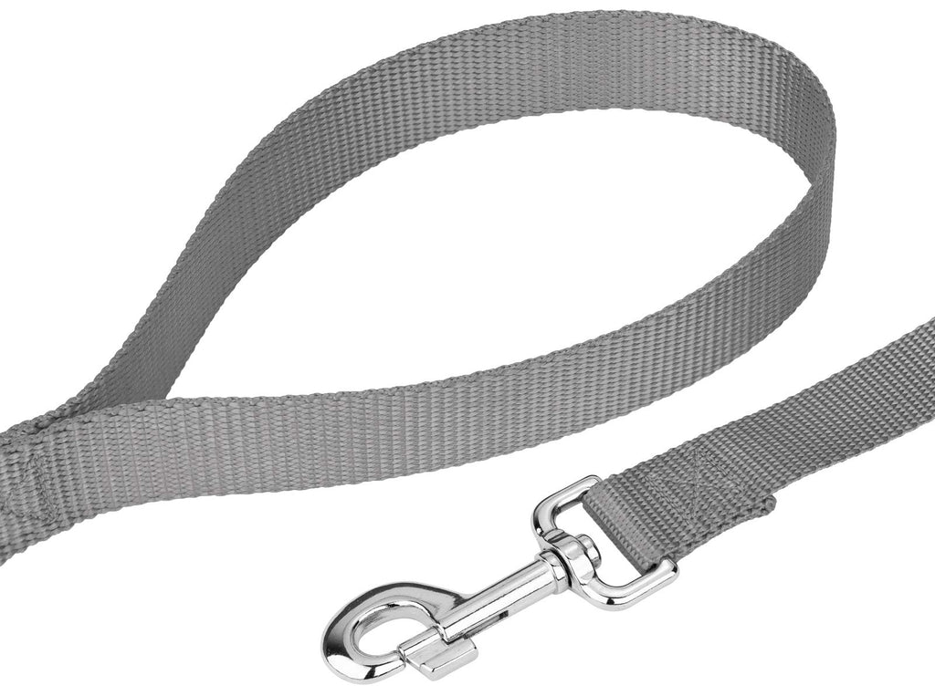 Country Brook Petz Everyday Nylon Dog Leash - 6 Foot, 1 Inch Wide, Silver - Strong & Durable