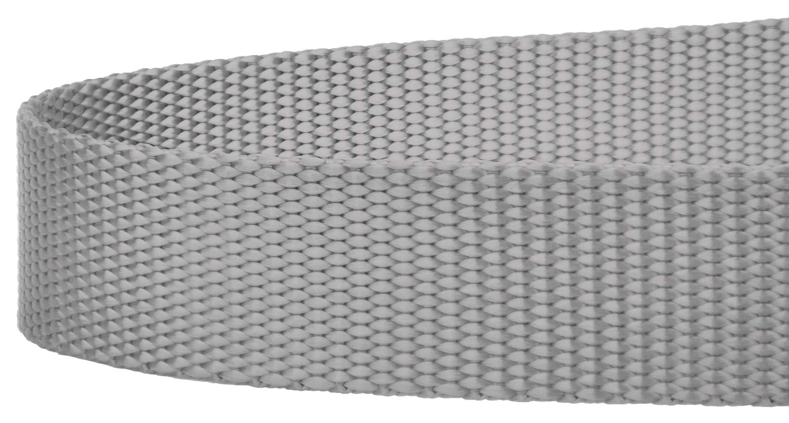 Country Brook Petz Everyday Nylon Dog Leash - 6 Foot, 1 Inch Wide, Silver - Strong & Durable