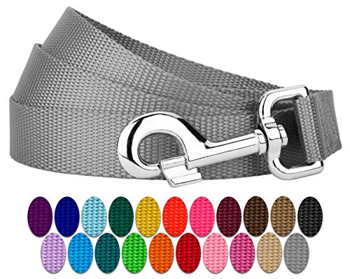 Country Brook Petz Everyday Nylon Dog Leash - 6 Foot, 1 Inch Wide, Silver - Strong & Durable