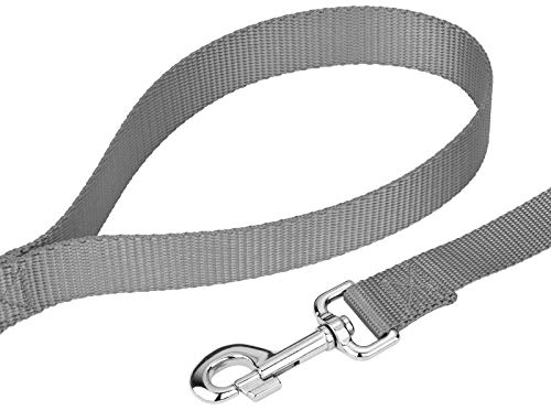 Country Brook Petz Everyday Nylon Dog Leash - 6 Foot, 1 Inch Wide, Silver - Strong & Durable