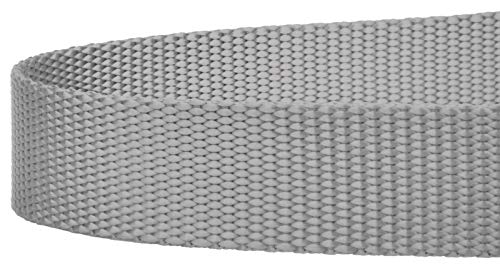 Country Brook Petz Everyday Nylon Dog Leash - 6 Foot, 1 Inch Wide, Silver - Strong & Durable