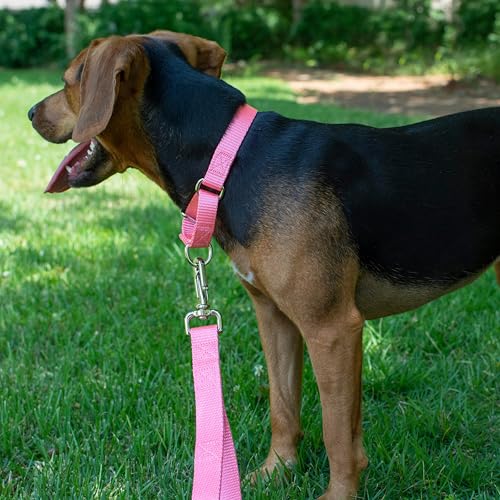 Country Brook Petz Martingale Dog Collar - Heavy-Duty Training Collar with No Buckle - Pink, 1 Inch, Medium