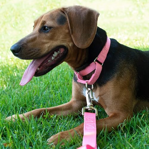 Country Brook Petz Martingale Dog Collar - Heavy-Duty Training Collar with No Buckle - Pink, 1 Inch, Medium