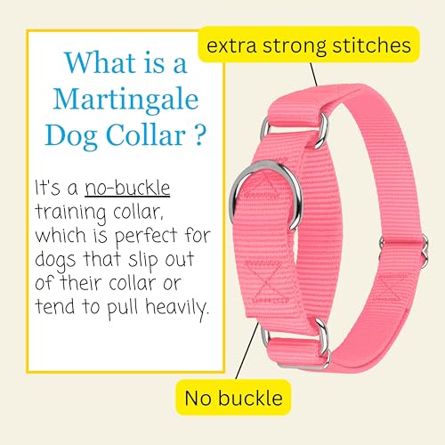 Country Brook Petz Martingale Dog Collar - Heavy-Duty Training Collar with No Buckle - Pink, 1 Inch, Medium