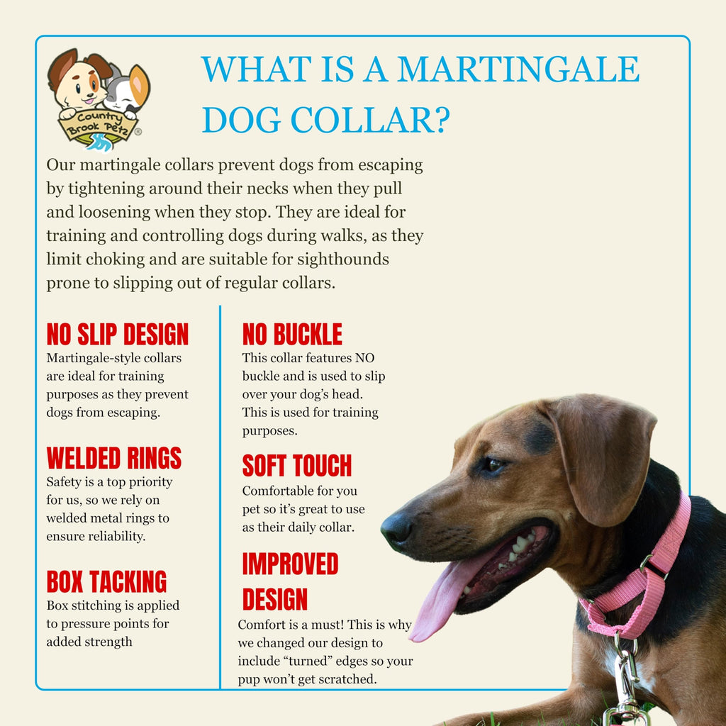 Country Brook Petz Martingale Dog Collar - Heavy-Duty Training Collar with No Buckle - Pink, 1 Inch, Medium