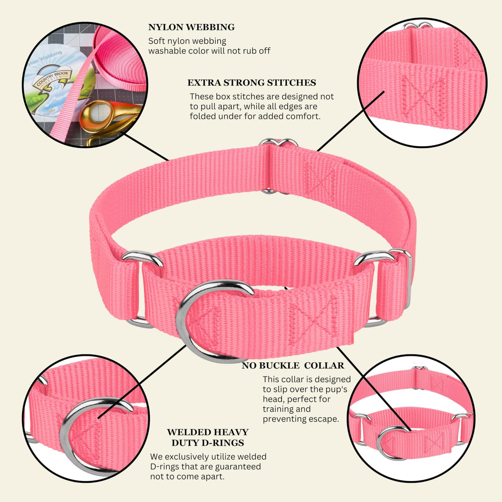 Country Brook Petz Martingale Dog Collar - Heavy-Duty Training Collar with No Buckle - Pink, 1 Inch, Medium