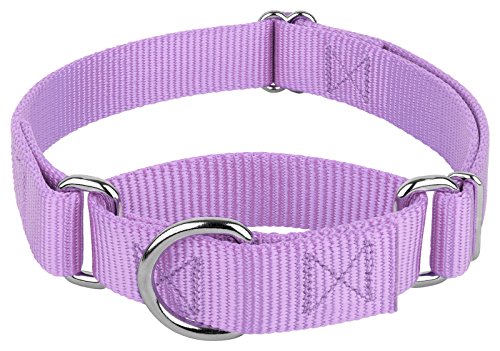 Country Brook Petz Martingale Dog Collar - Lavender Medium - No Buckle Training Collar