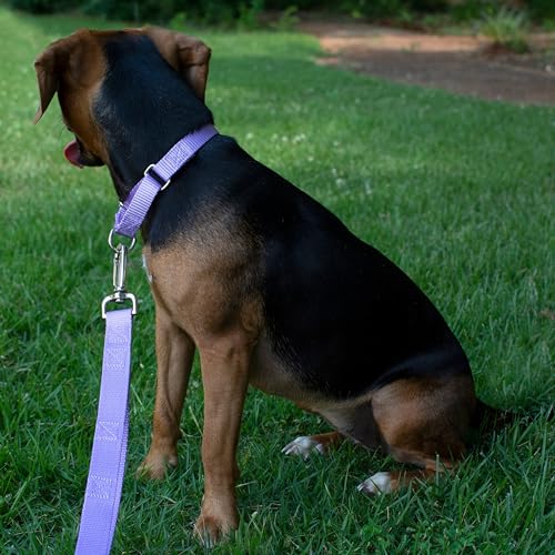 Country Brook Petz Martingale Dog Collar - Lavender Medium - No Buckle Training Collar