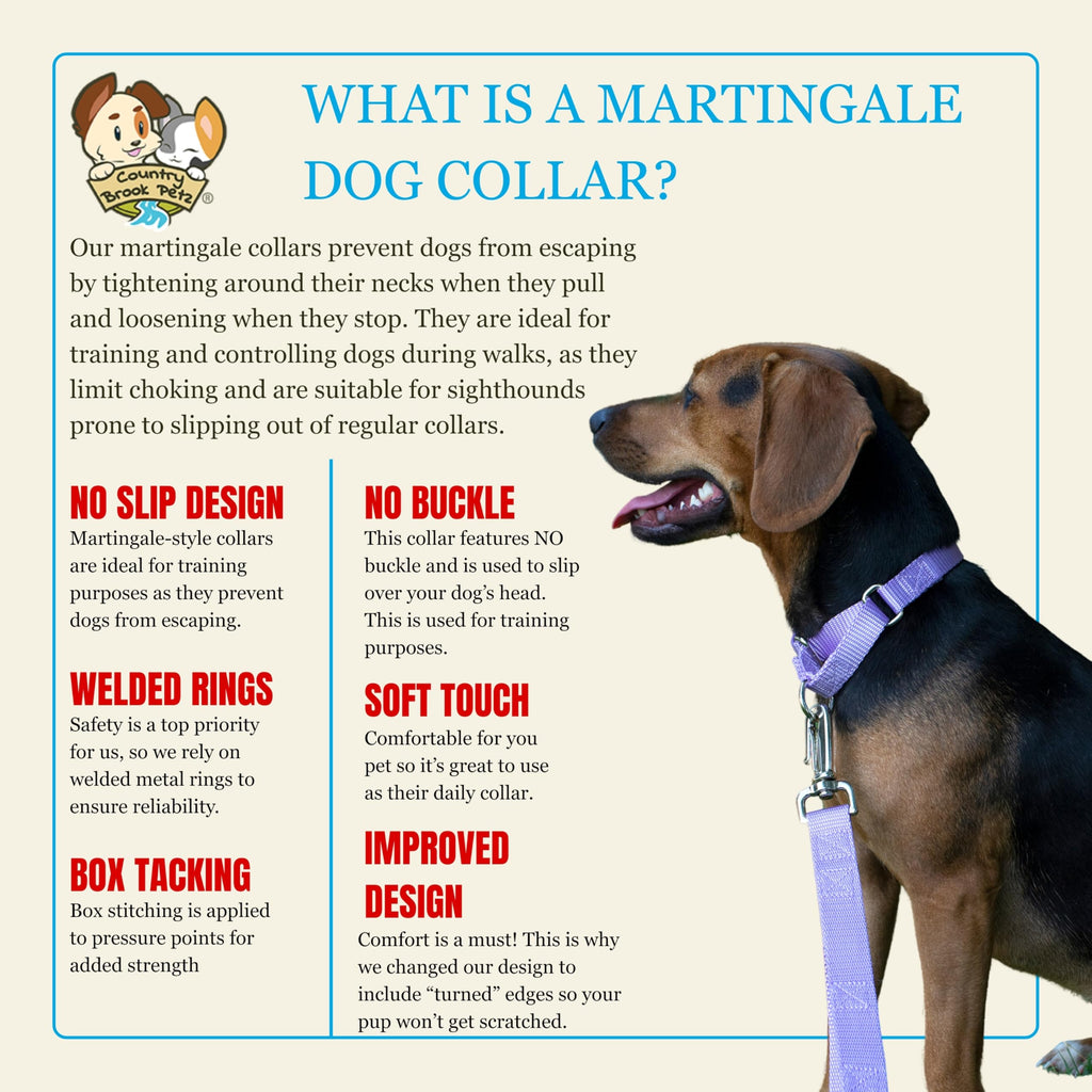 Country Brook Petz Martingale Dog Collar - Lavender Medium - No Buckle Training Collar