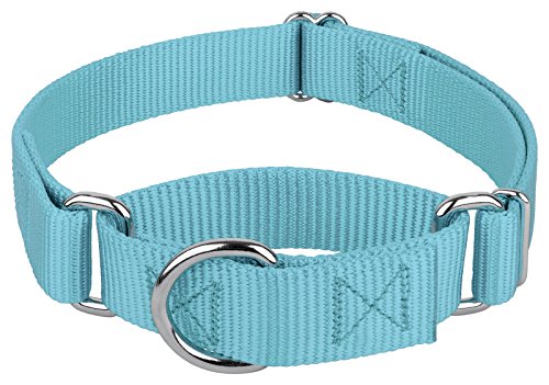 Country Brook Petz Martingale Dog Collar - No Buckle Training Collar for Small Dogs - Ocean Blue