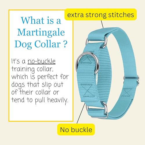 Country Brook Petz Martingale Dog Collar - No Buckle Training Collar for Small Dogs - Ocean Blue