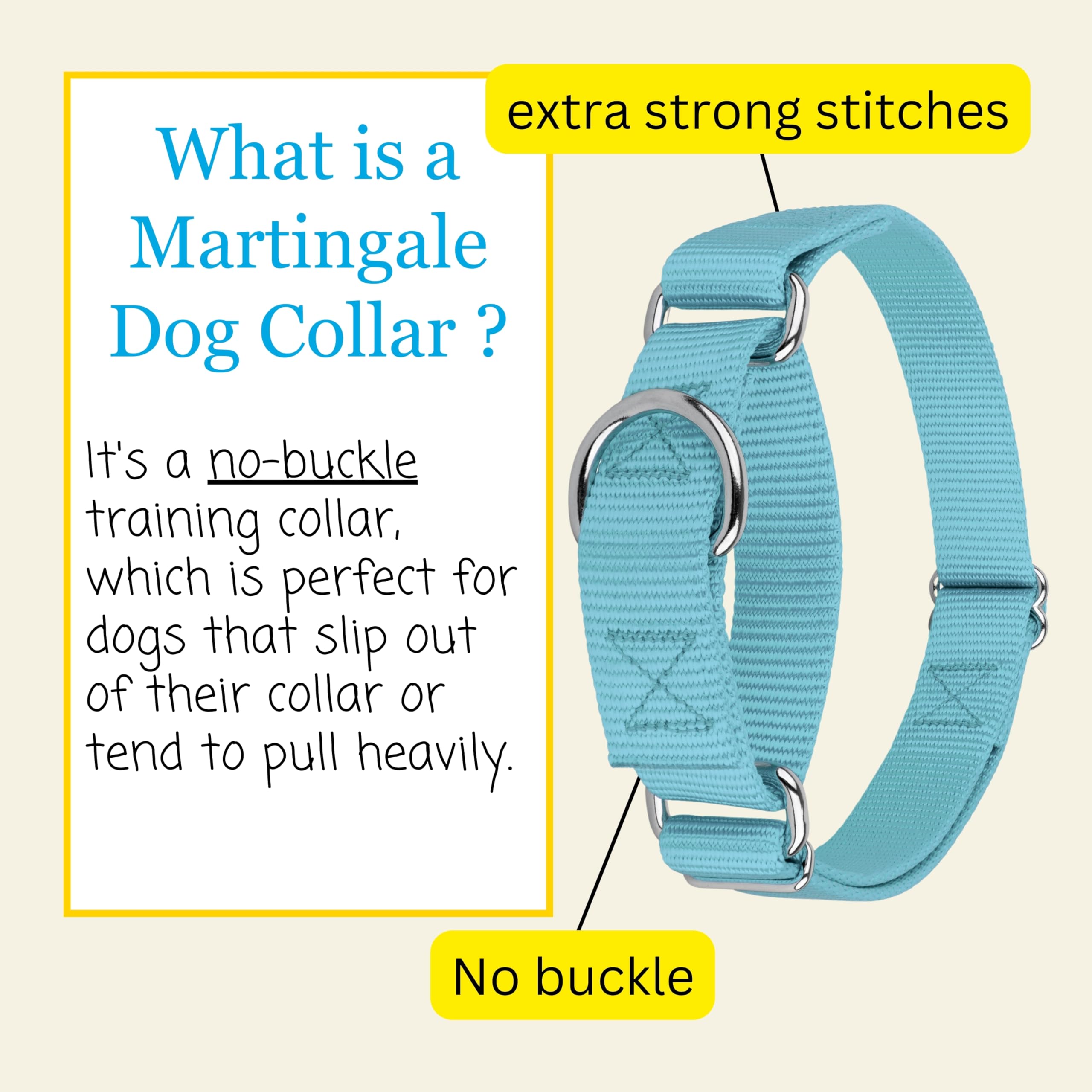 Country Brook Petz Martingale Dog Collar - No Buckle Training Collar for Small Dogs - Ocean Blue