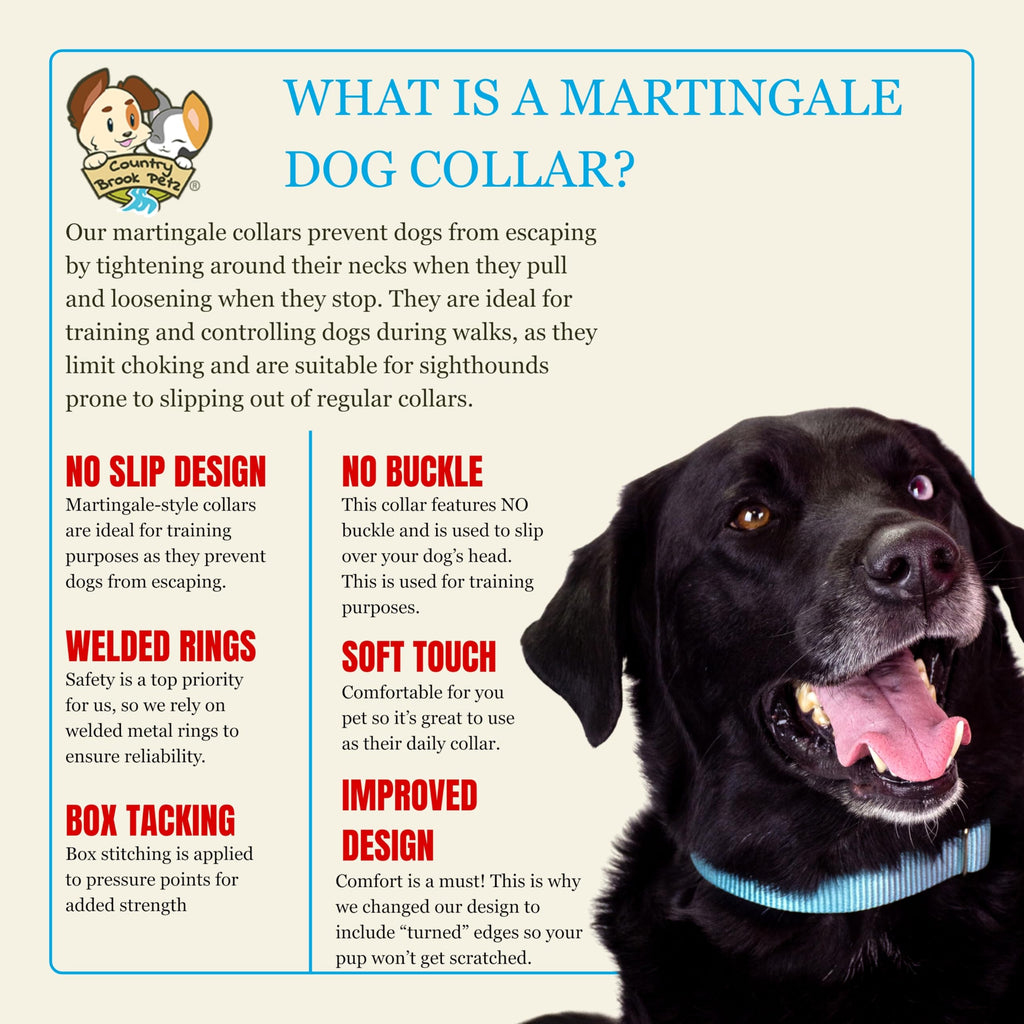 Country Brook Petz Martingale Dog Collar - No Buckle Training Collar for Small Dogs - Ocean Blue