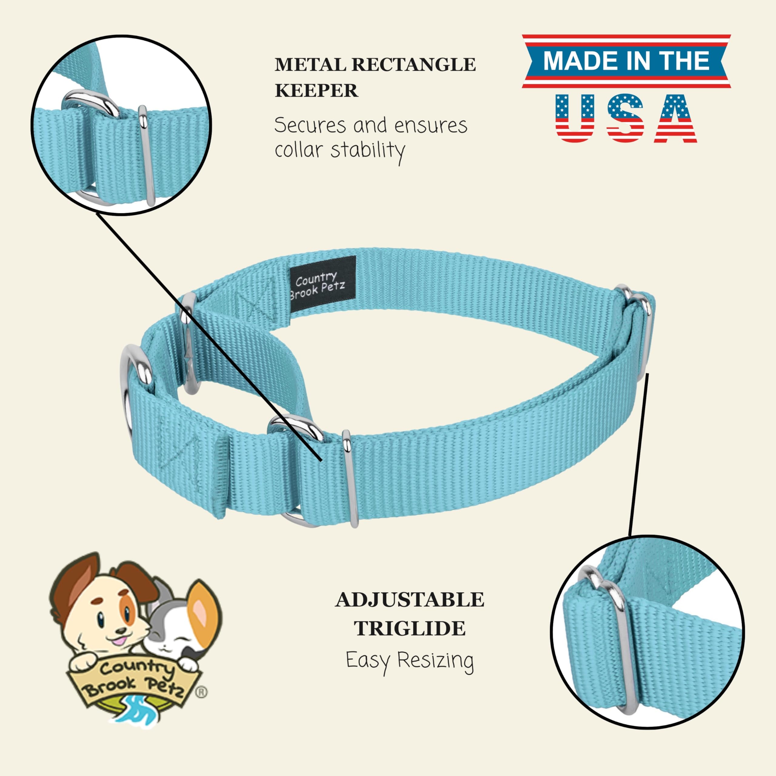 Country Brook Petz Martingale Dog Collar - No Buckle Training Collar for Small Dogs - Ocean Blue