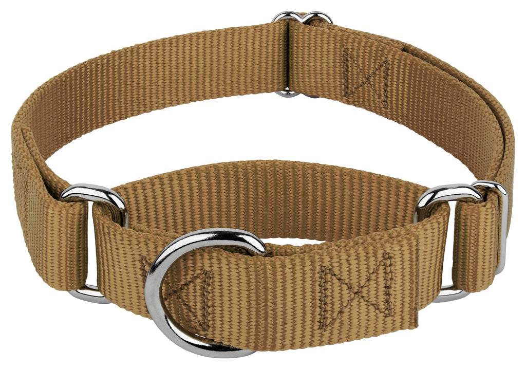 Country Brook Petz Martingale Dog Collar – Heavy-Duty No-Buckle Training Collar for Small Dogs, Coyote Tan (3/4" x 11-15")