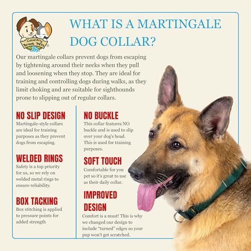 Country Brook Petz Martingale Dog Collar – Heavy-Duty No-Buckle Training Collar for Small Dogs, Coyote Tan (3/4" x 11-15")