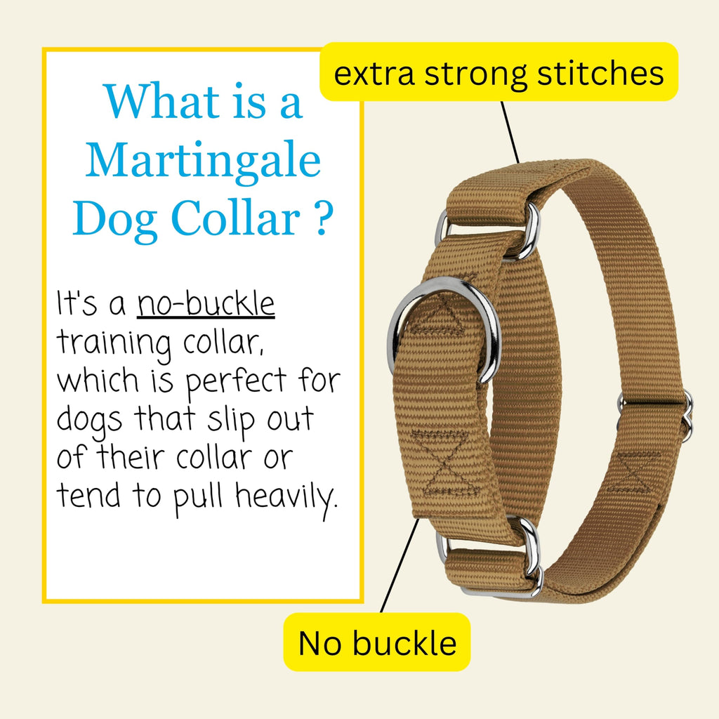 Country Brook Petz Martingale Dog Collar – Heavy-Duty No-Buckle Training Collar for Small Dogs, Coyote Tan (3/4" x 11-15")