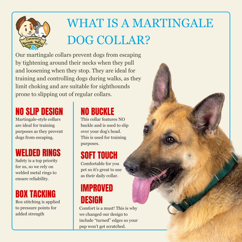 Country Brook Petz Martingale Dog Collar – Heavy-Duty No-Buckle Training Collar for Small Dogs, Coyote Tan (3/4" x 11-15")
