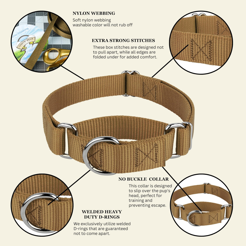 Country Brook Petz Martingale Dog Collar – Heavy-Duty No-Buckle Training Collar for Small Dogs, Coyote Tan (3/4" x 11-15")