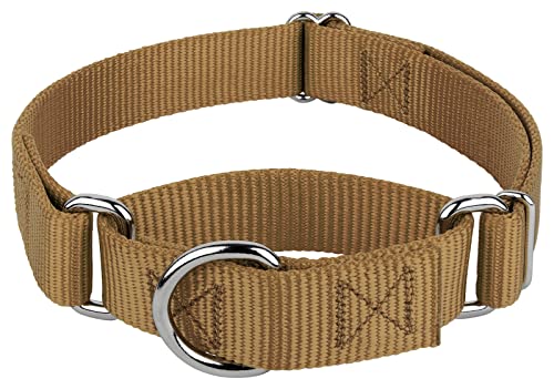 Country Brook Petz Martingale Dog Collar – Heavy-Duty No-Buckle Training Collar for Small Dogs, Coyote Tan (3/4" x 11-15")