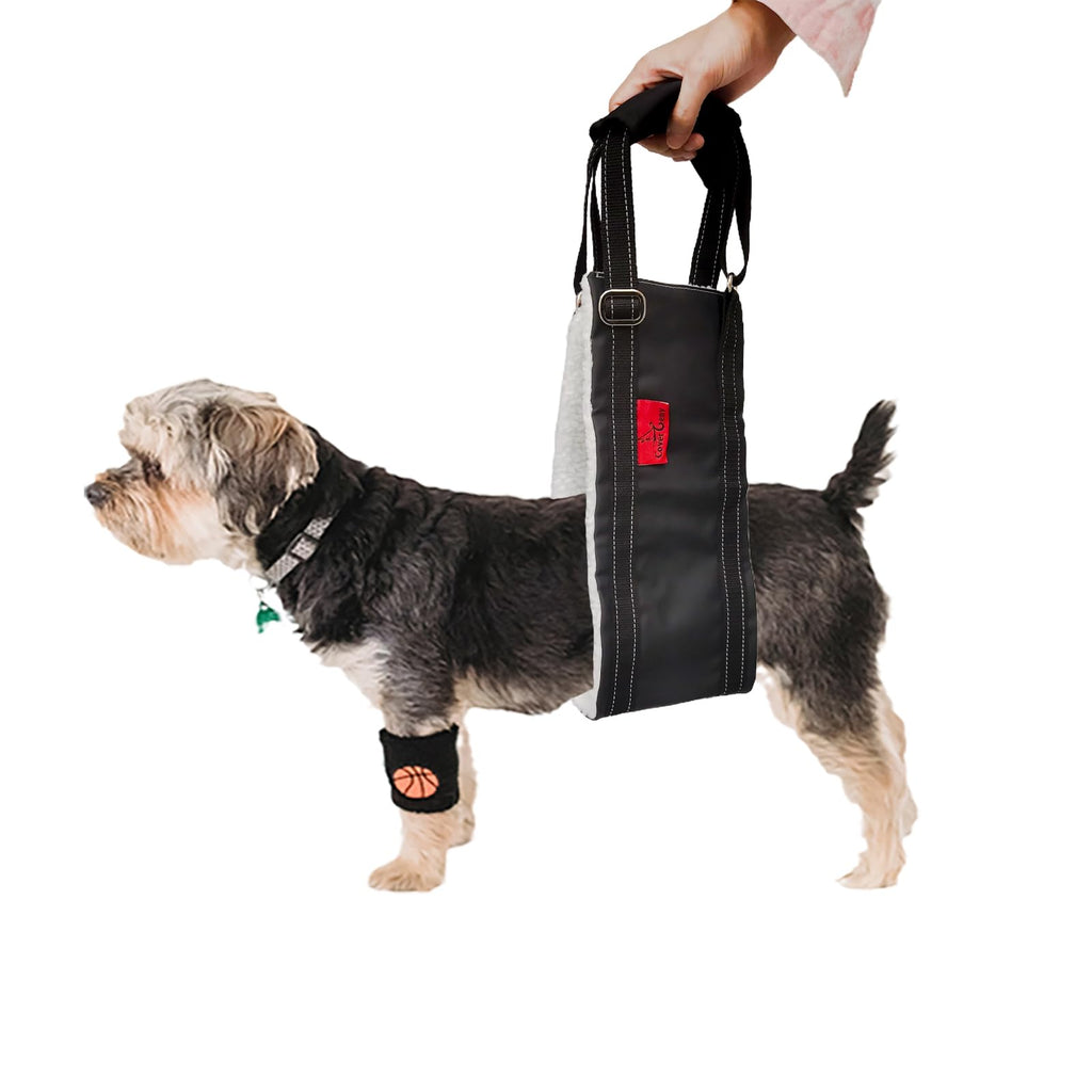 Cover Geny Dog Lift Harness - Adjustable Rear Leg Sling for Senior/Injured Dogs, Medium (Black)