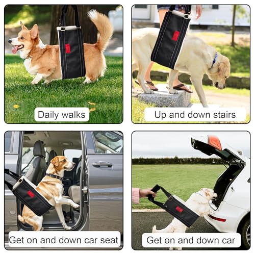 Cover Geny Dog Lift Harness - Adjustable Rear Leg Sling for Senior/Injured Dogs, Medium (Black)