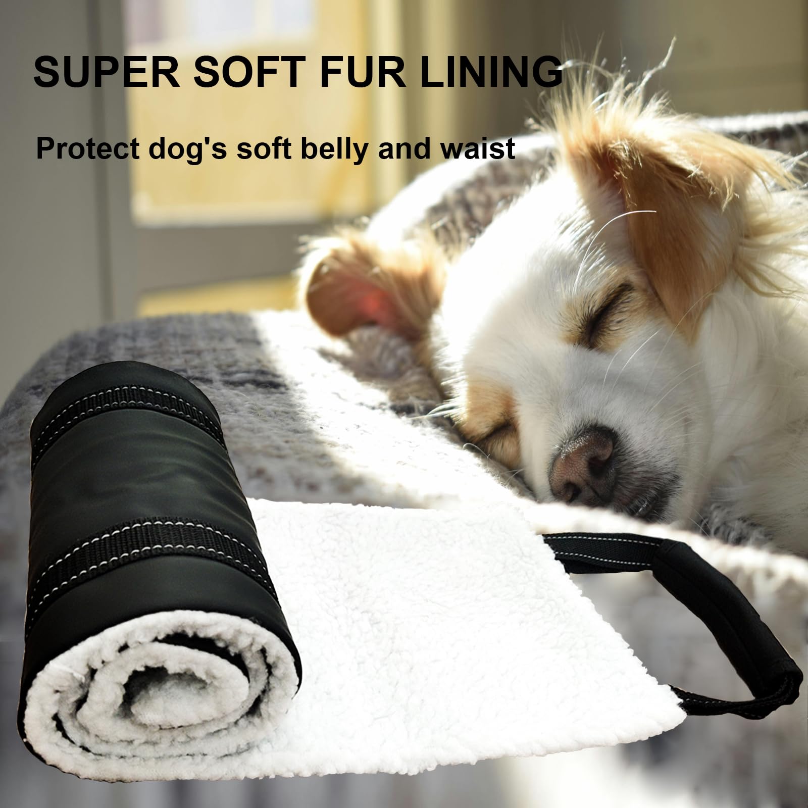 Cover Geny Dog Lift Harness - Adjustable Rear Leg Sling for Senior/Injured Dogs, Medium (Black)