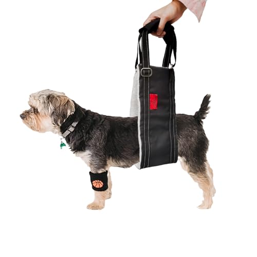 Cover Geny Dog Lift Harness - Adjustable Rear Leg Sling for Senior/Injured Dogs, Medium (Black)