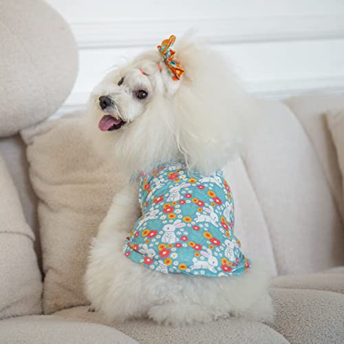 CuteBone Dog Shirts 2-Pack - Soft Breathable Summer Vest for Small Puppies and Cats, Striped, Large