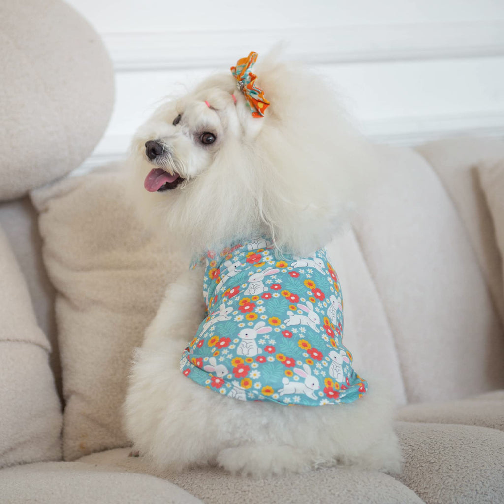 CuteBone Dog Shirts 2-Pack - Soft Breathable Summer Vest for Small Puppies and Cats, Striped, Large