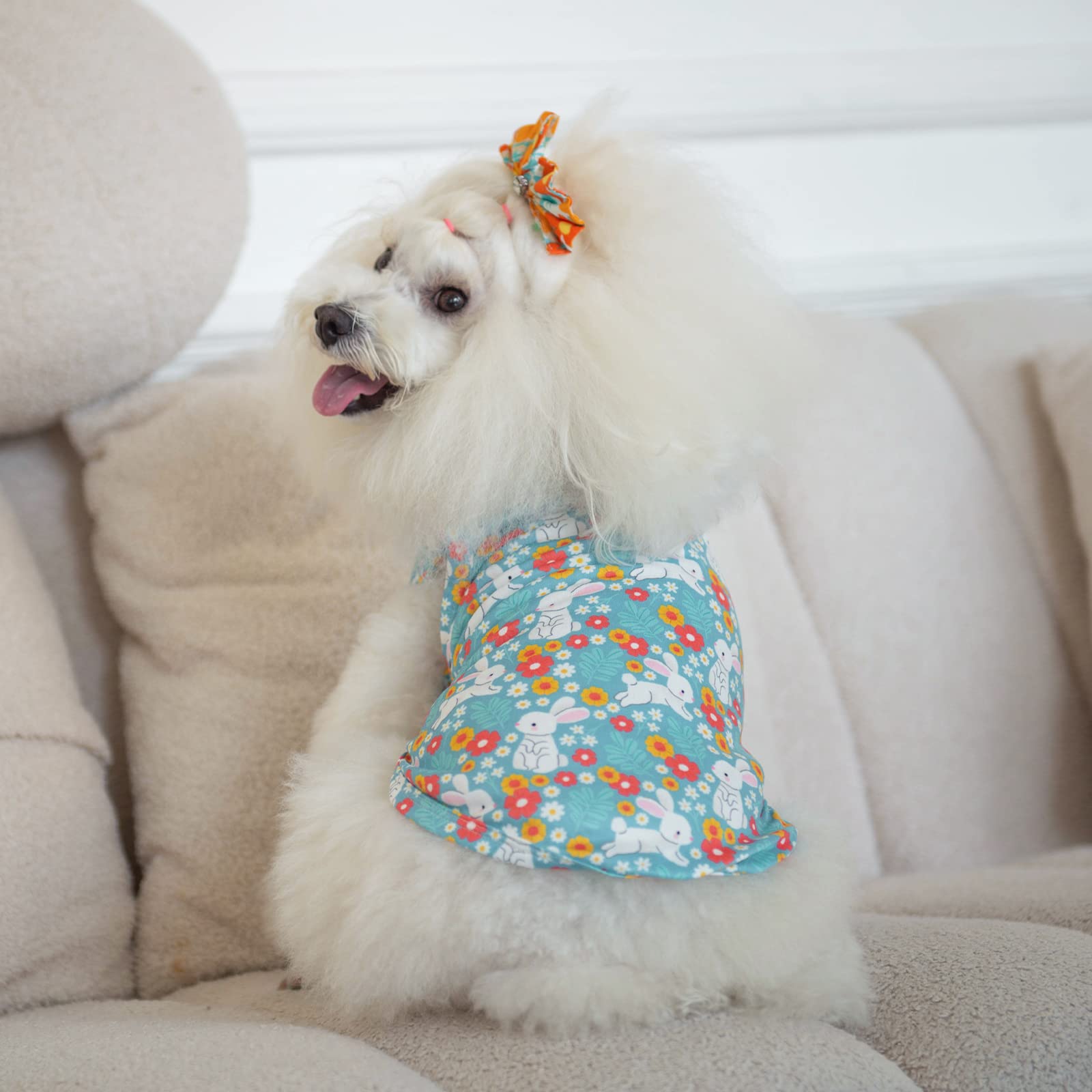 CuteBone Dog Shirts 2-Pack - Soft Breathable Summer Vest for Small Puppies and Cats, Striped, Large