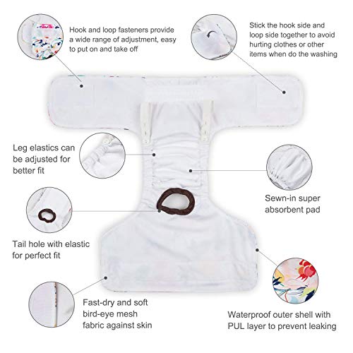 CuteBone Female Dog Diapers 3 Pack - Reusable, Washable, Adjustable Fit for Heat & Incontinence - Leaf XS