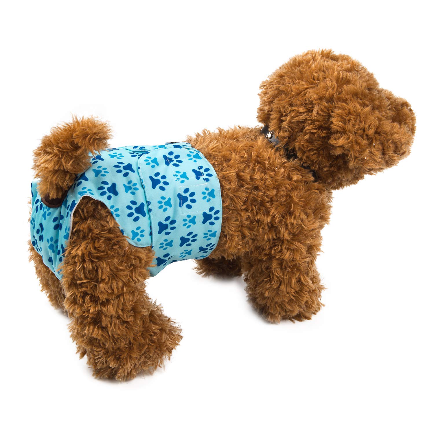 CuteBone Female Dog Diapers 3 Pack - Washable Reusable Doggie Pants for Heat Cycle, Incontinence, Size Small