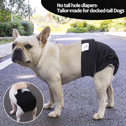 CuteBone No Tail Hole Dog Diapers – 3 Pack Reusable for Docked-Tail Dogs (Size M)