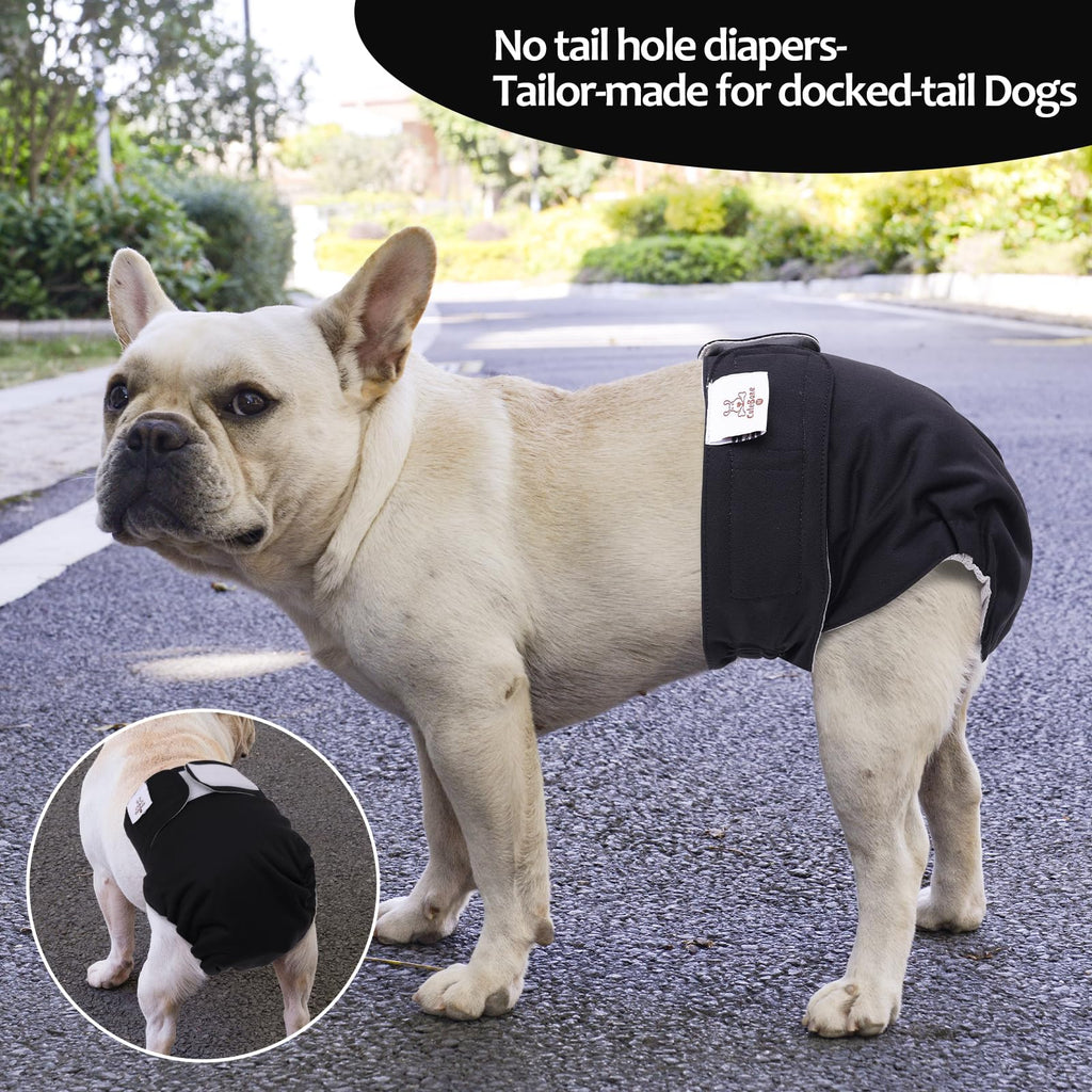 CuteBone No Tail Hole Dog Diapers – 3 Pack Reusable for Docked-Tail Dogs (Size M)